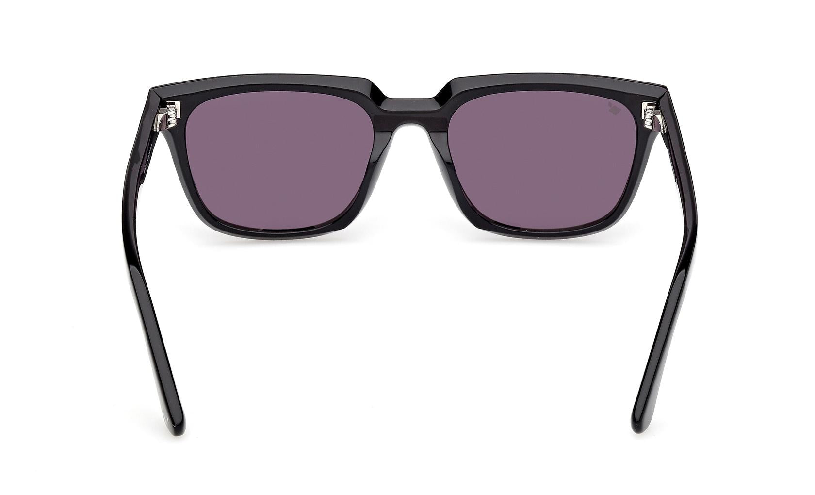 Web Sunglasses WE0391 01A