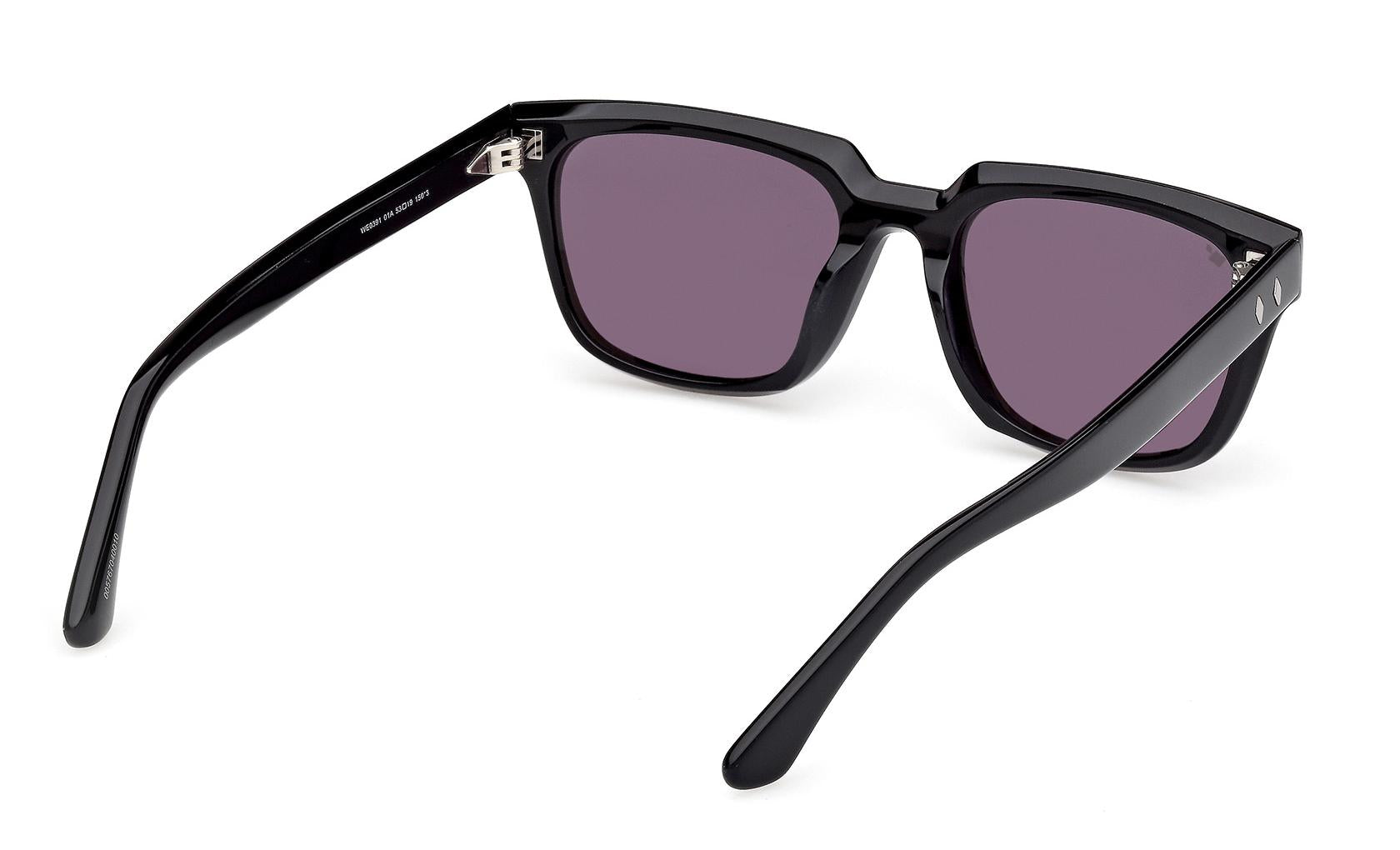 Web Sunglasses WE0391 01A