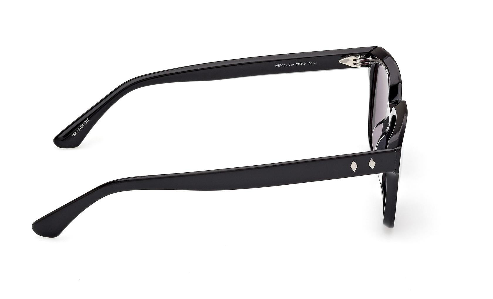 Web Sunglasses WE0391 01A