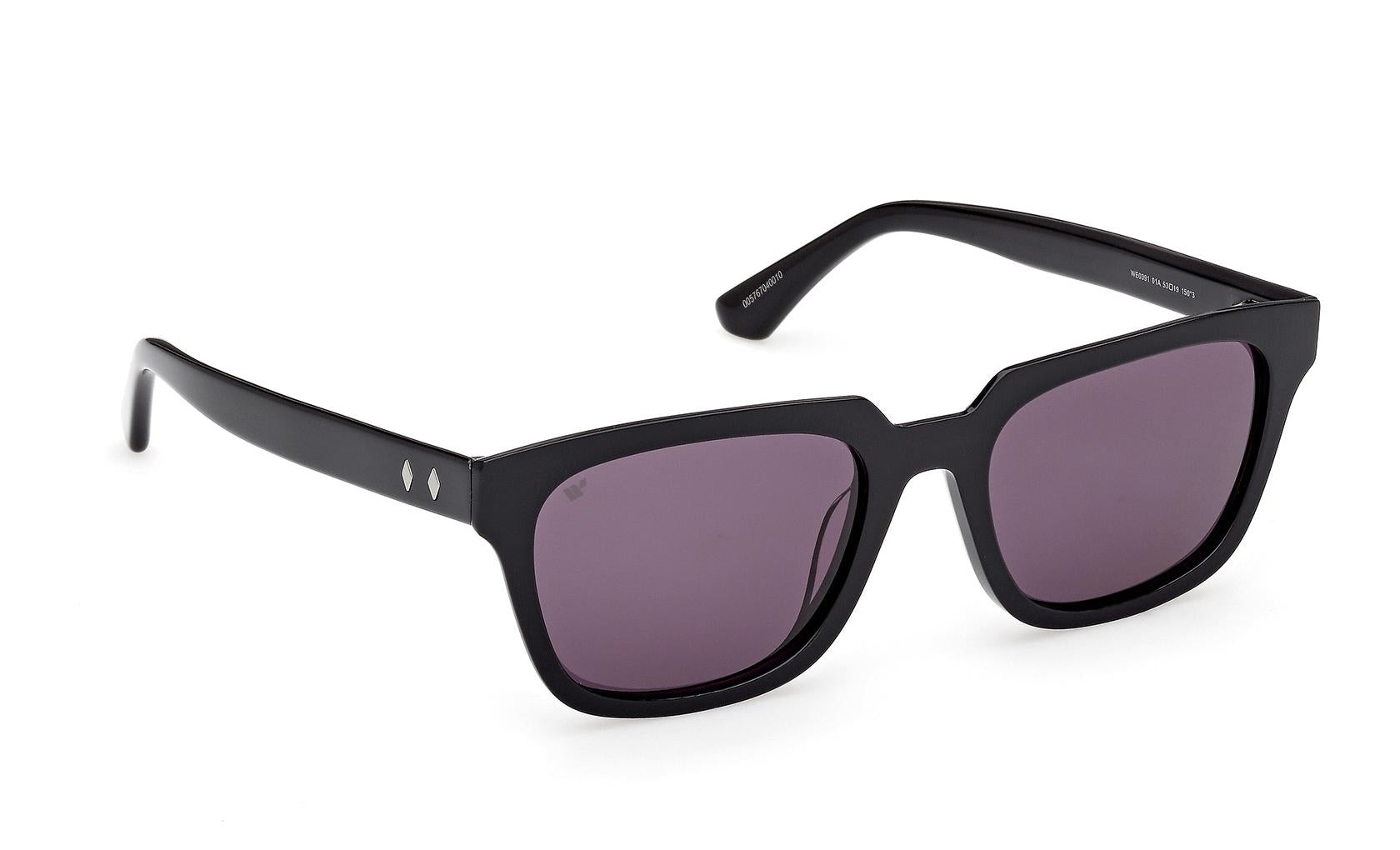 Web Sunglasses WE0391 01A