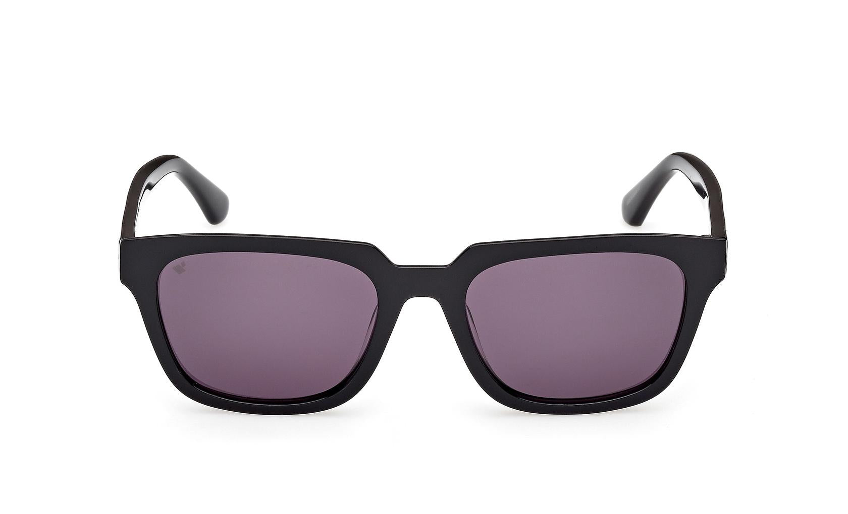 Web Sunglasses WE0391 01A