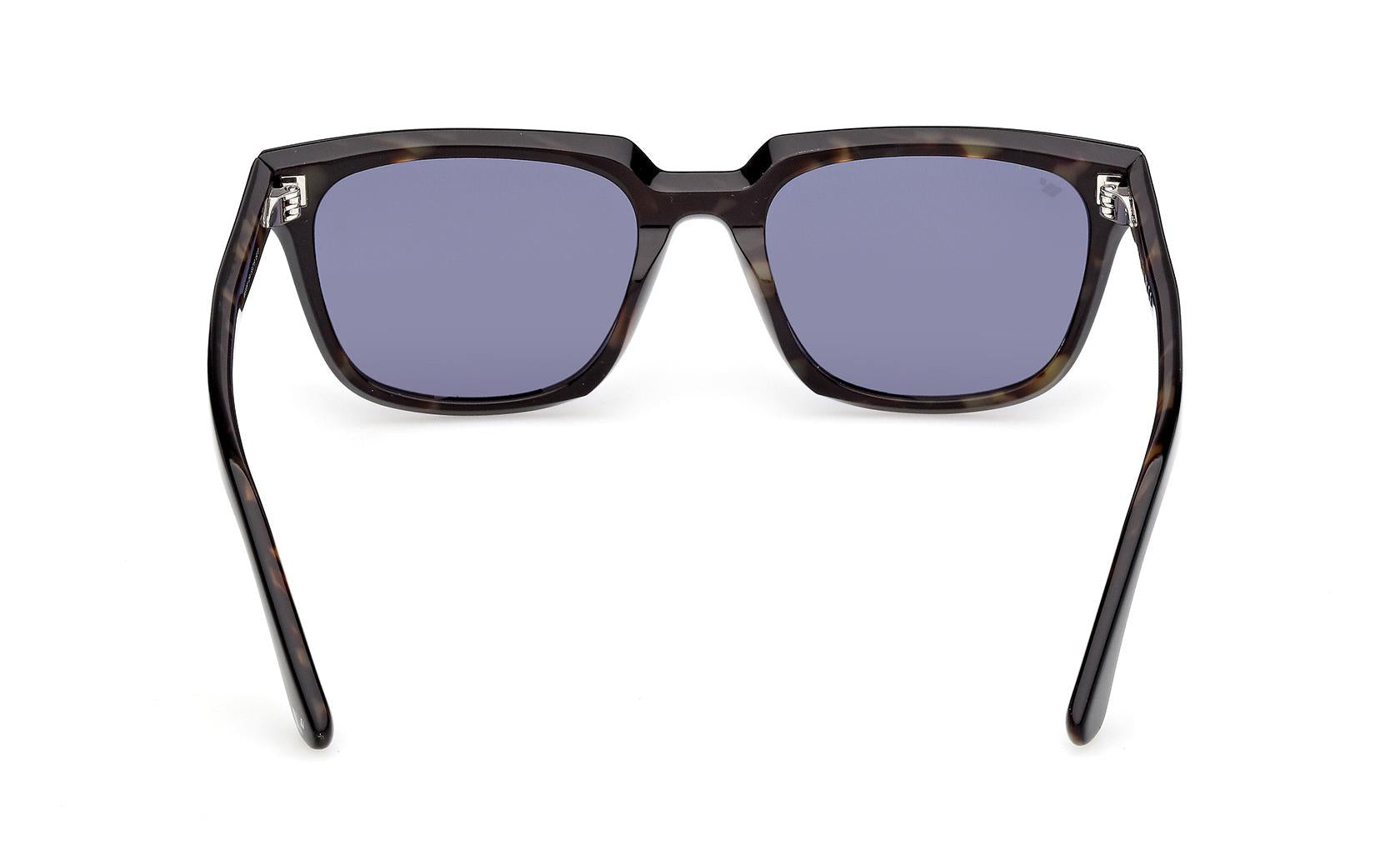 Web Sunglasses WE0391 05V