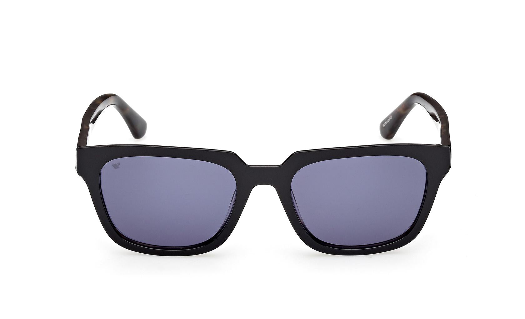 Web Sunglasses WE0391 05V