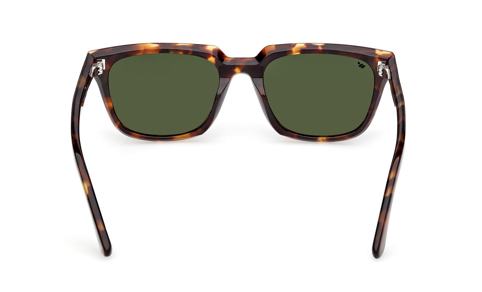 Web Sunglasses WE0391 52N