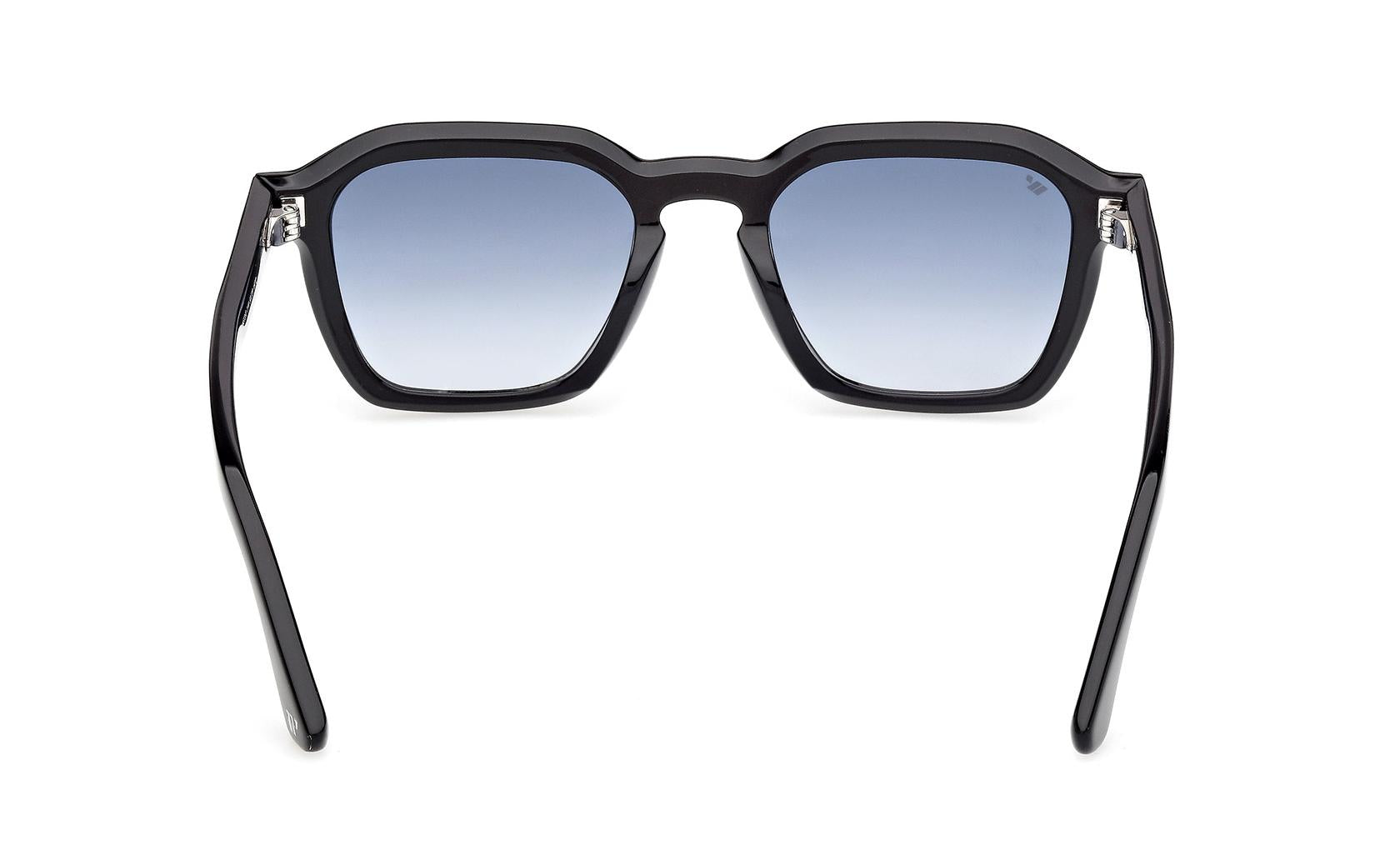 Web Sunglasses WE0392 01W