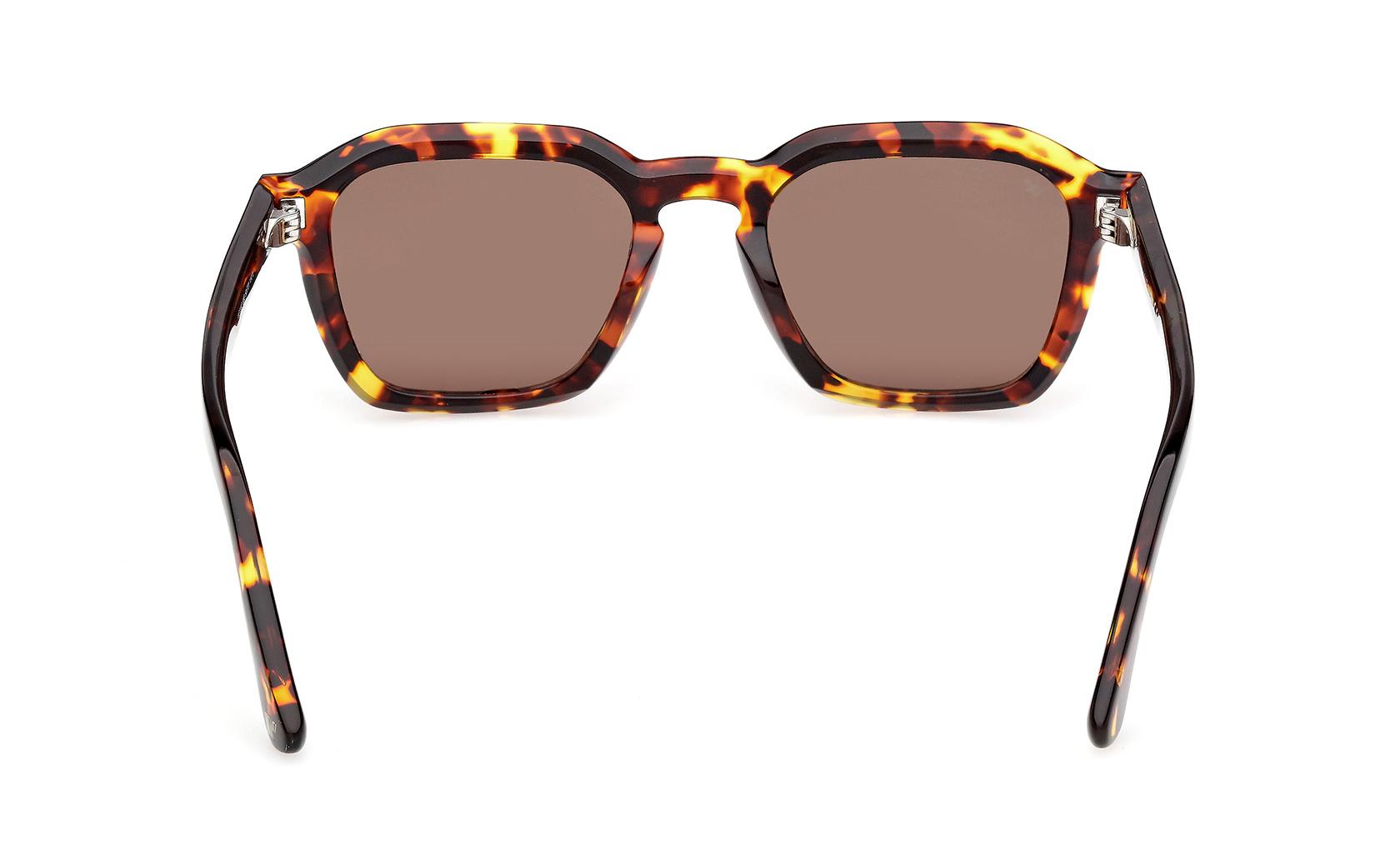 Web Sunglasses WE0392 55E