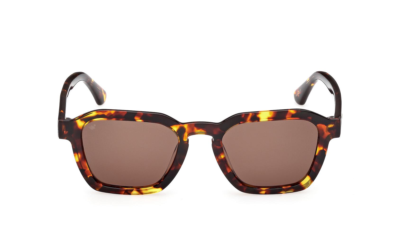 Web Sunglasses WE0392 55E