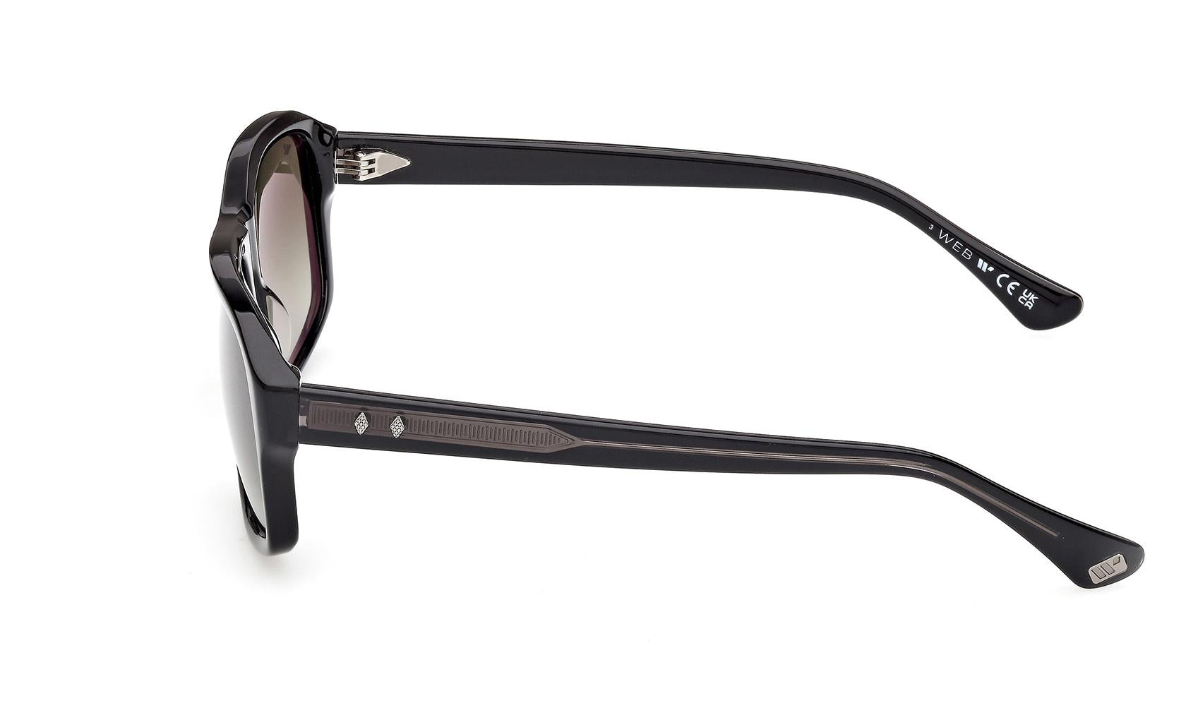 Web Sunglasses WE0393 01P