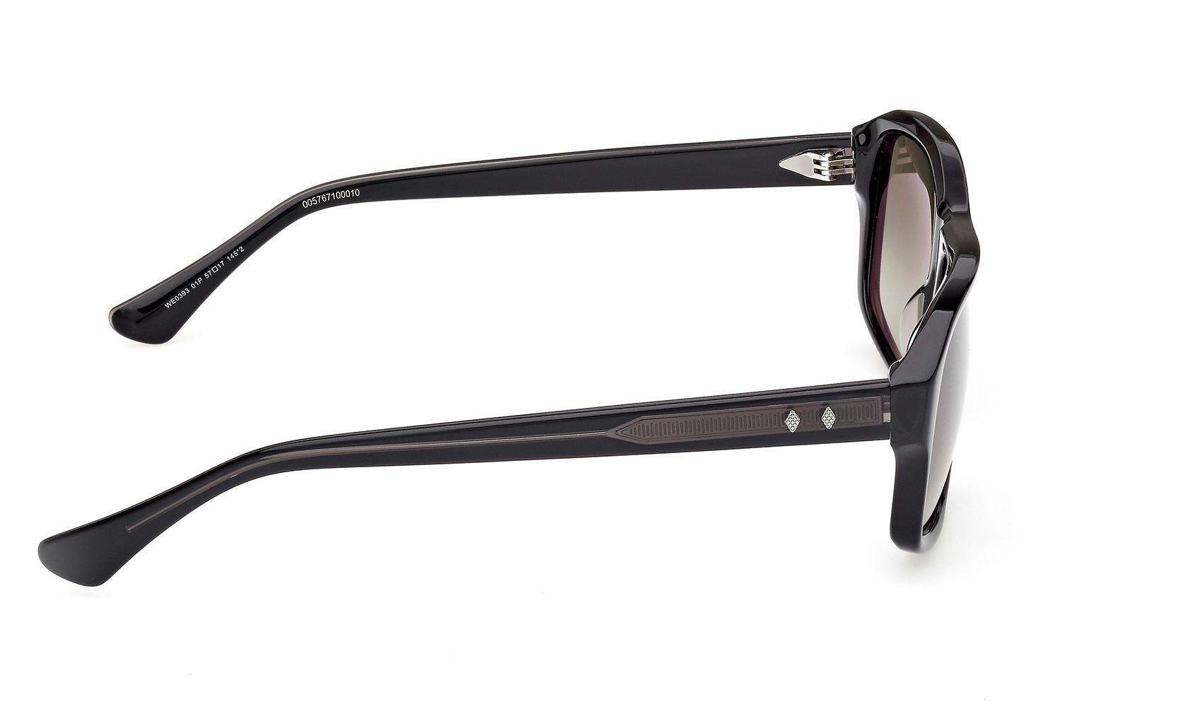 Web Sunglasses WE0393 01P