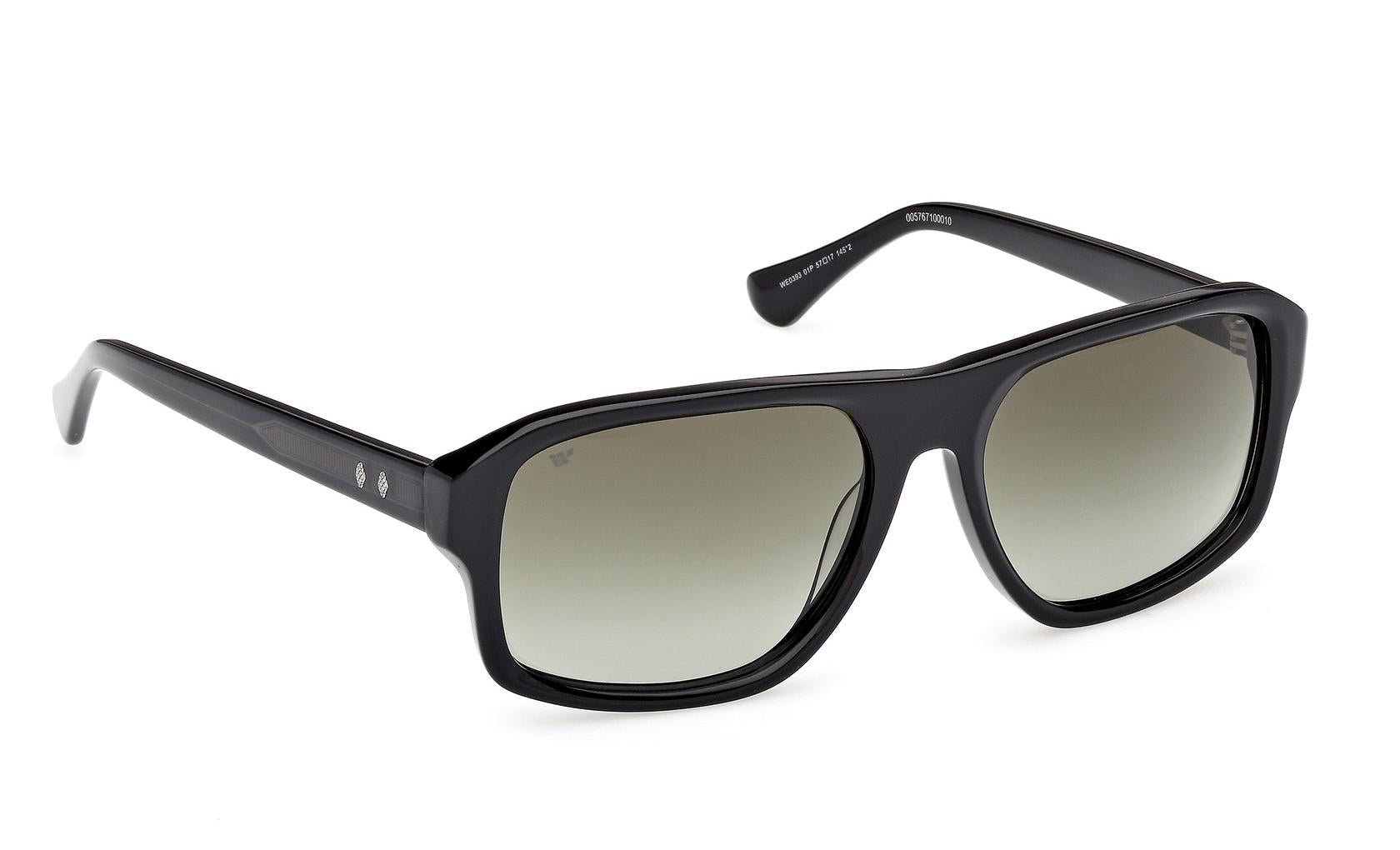 Web Sunglasses WE0393 01P