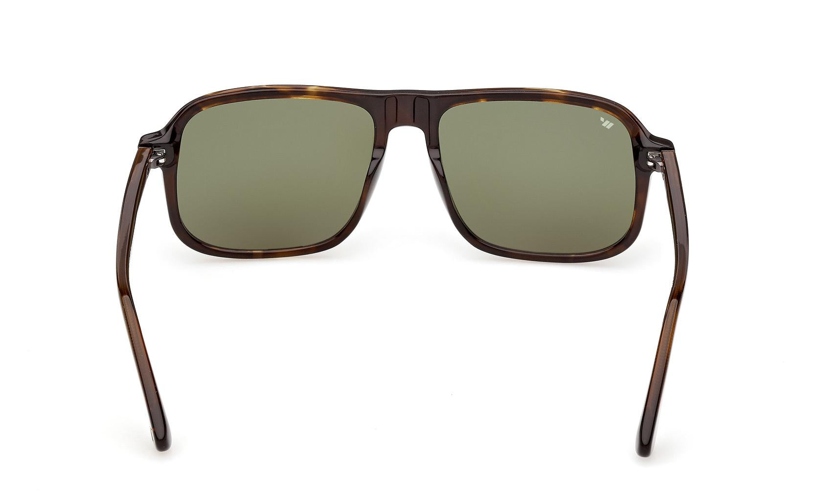 Web Sunglasses WE0396 56N