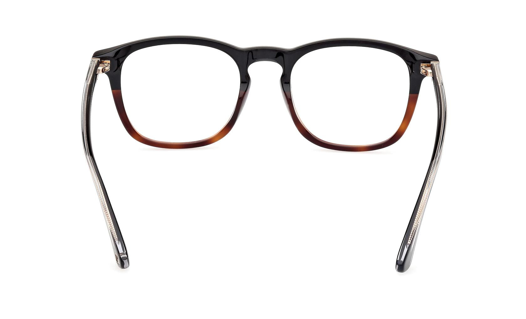 Web Eyeglasses WE5386 056