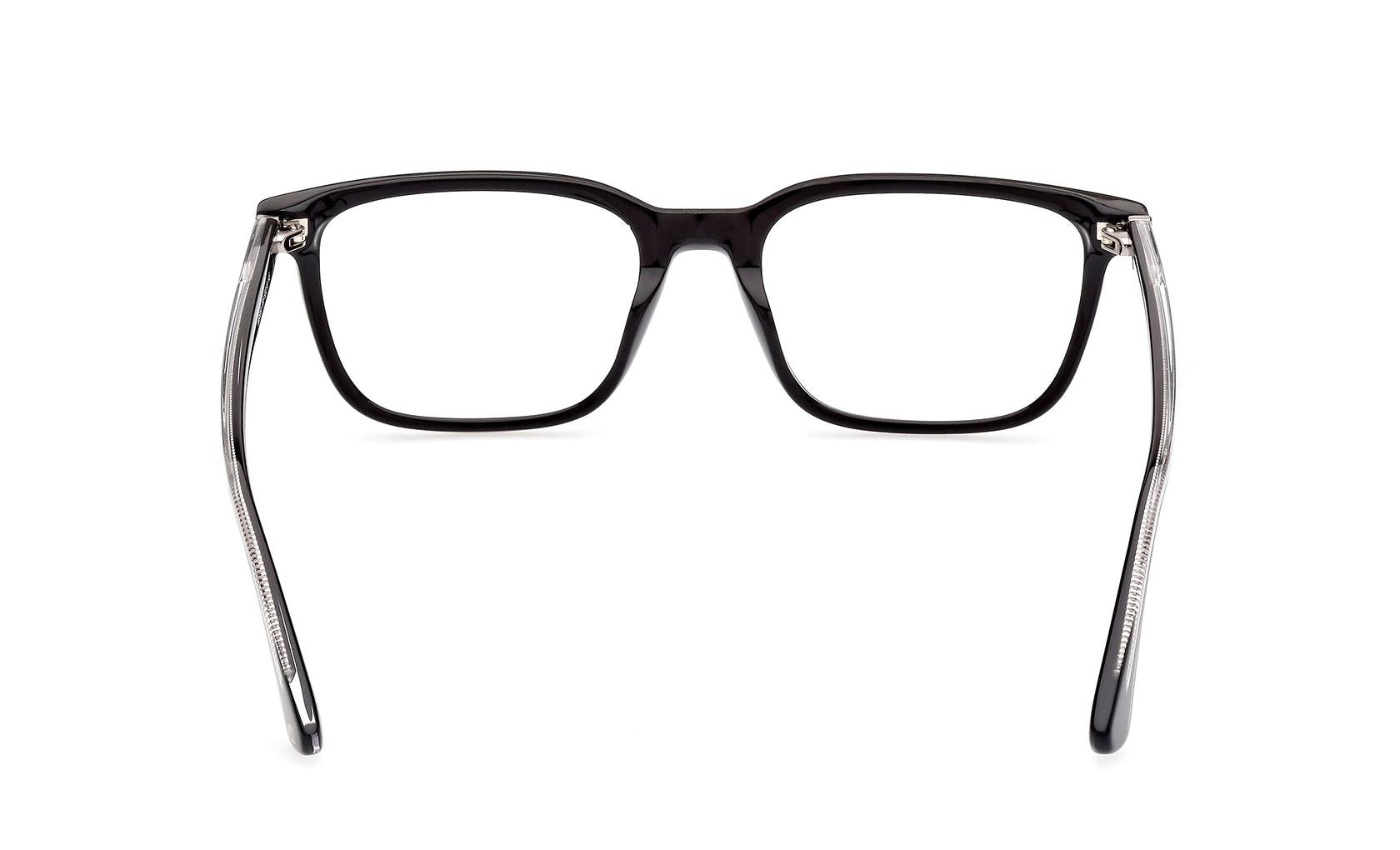 Web Eyeglasses WE5391 005