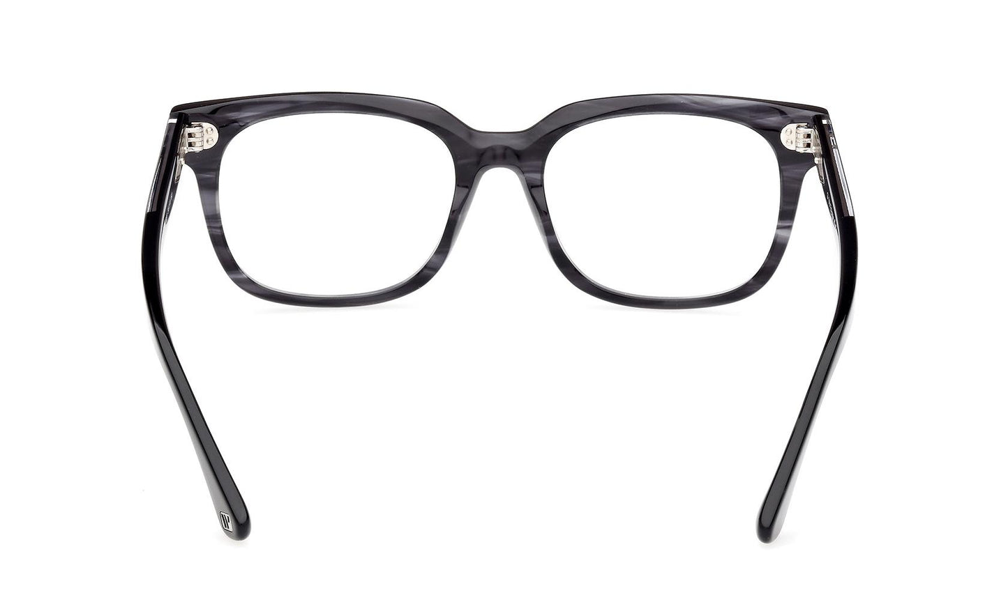 Web Eyeglasses WE5397 020