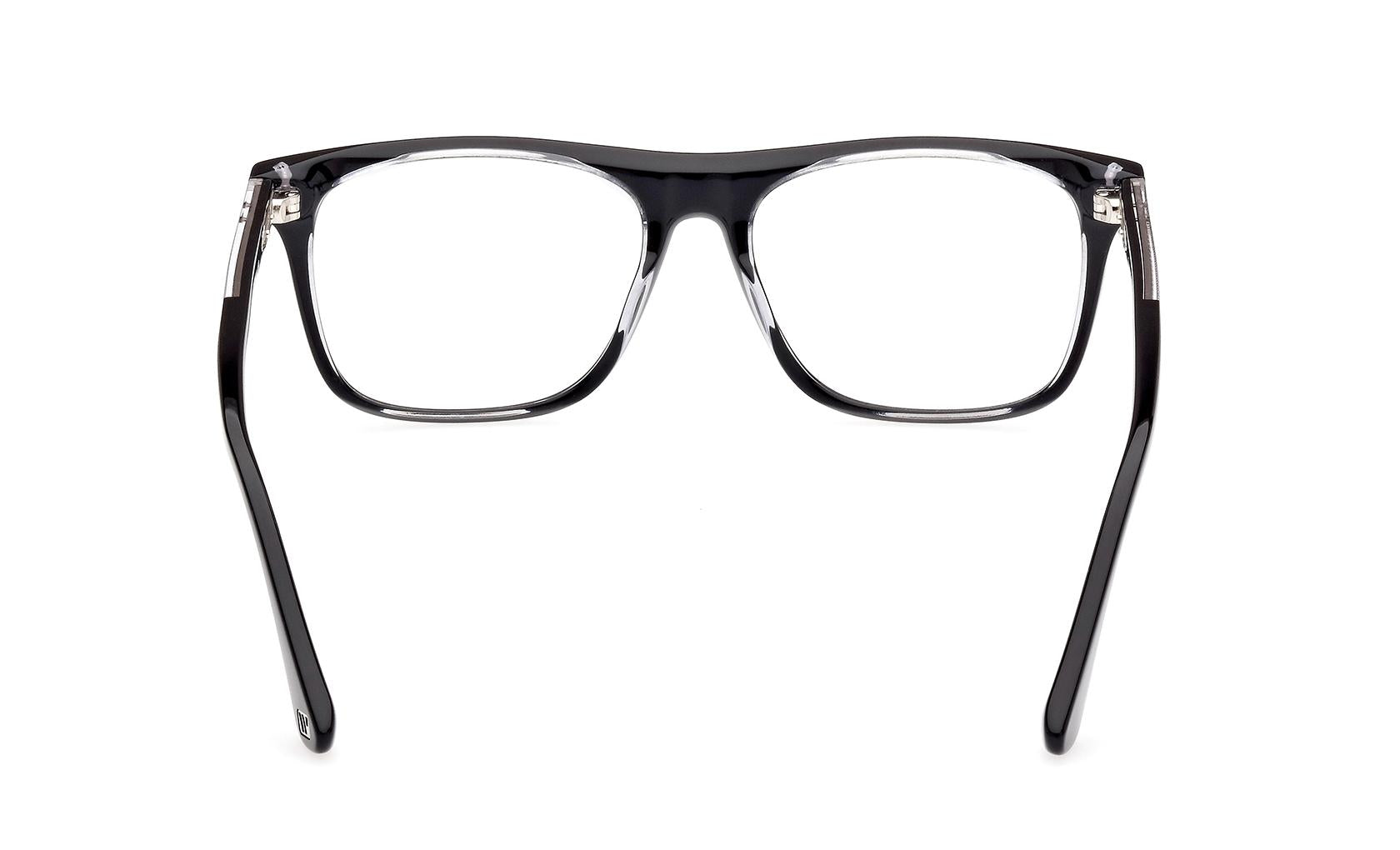 Web Eyeglasses WE5399 005