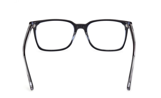 Web Eyeglasses WE5401 005