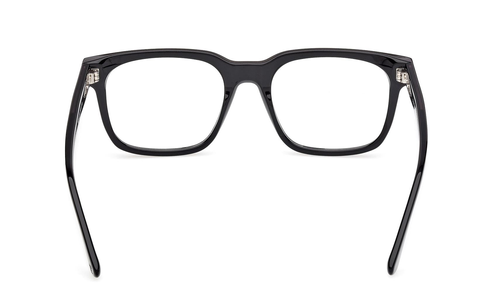 Web Eyeglasses WE5412 005