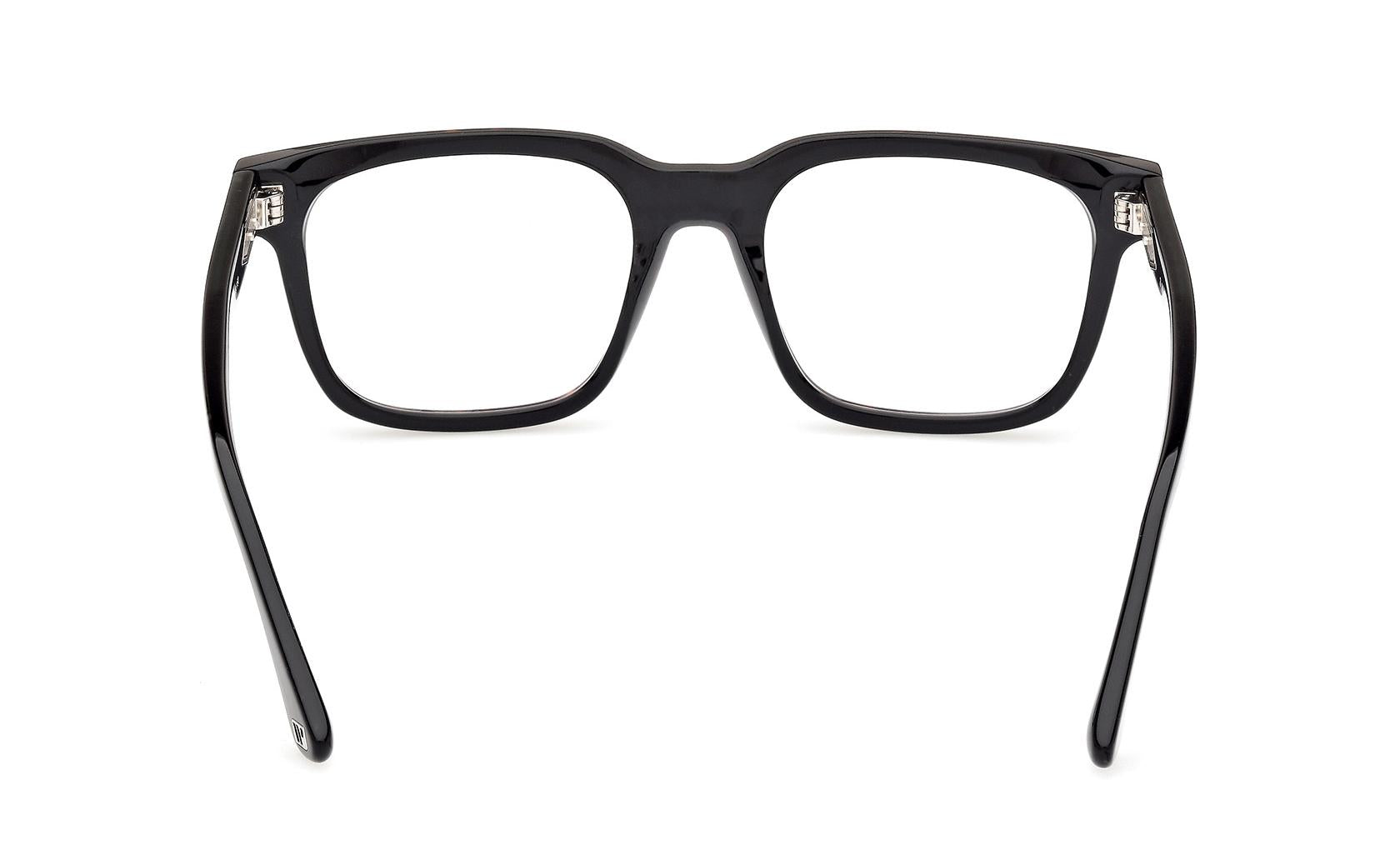 Web Eyeglasses WE5412 052
