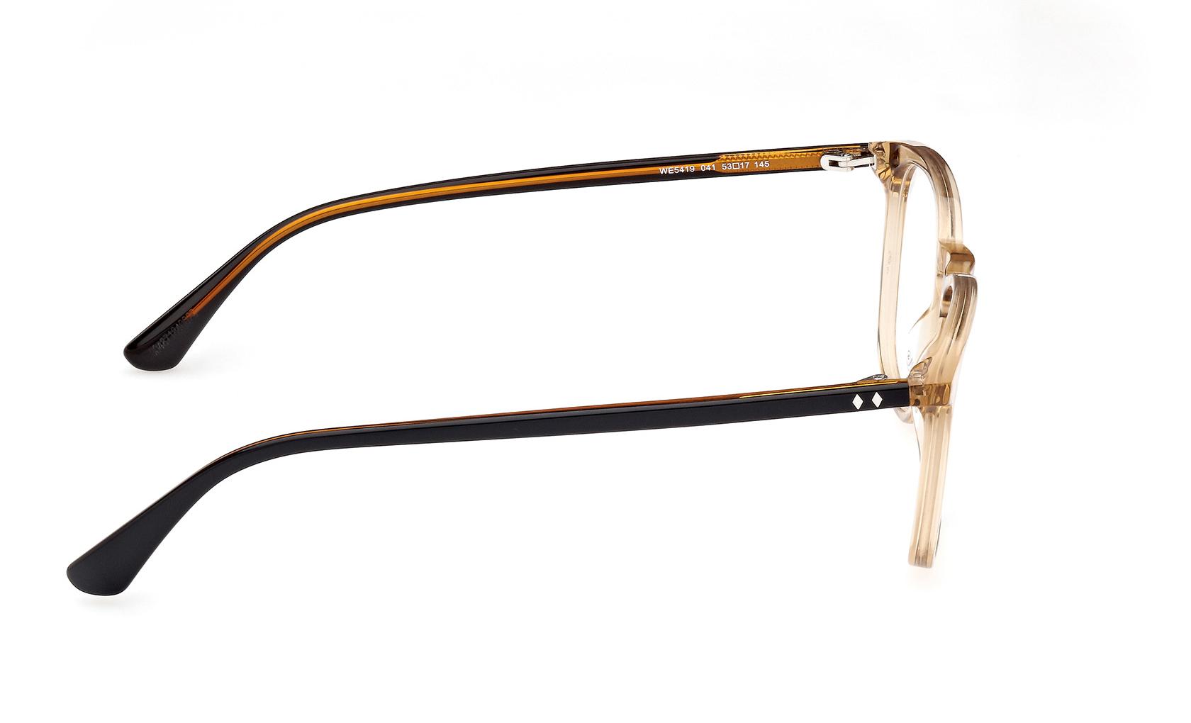 Web Eyeglasses WE5419 041