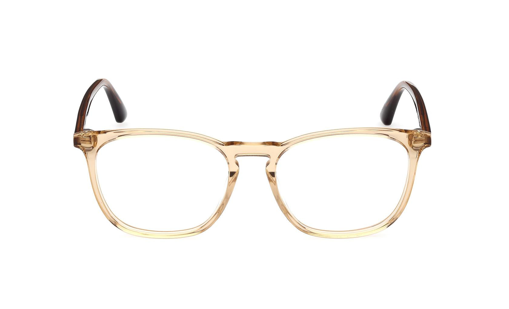 Web Eyeglasses WE5419 041