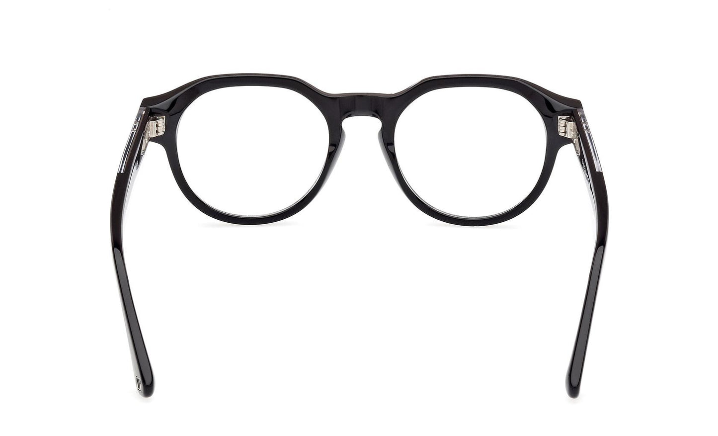 Web Eyeglasses WE5421 005