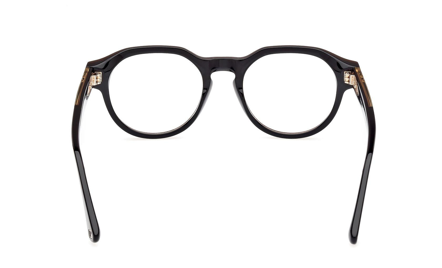 Web Eyeglasses WE5421 050