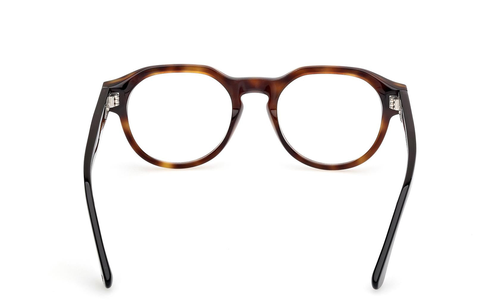 Web Eyeglasses WE5421 055