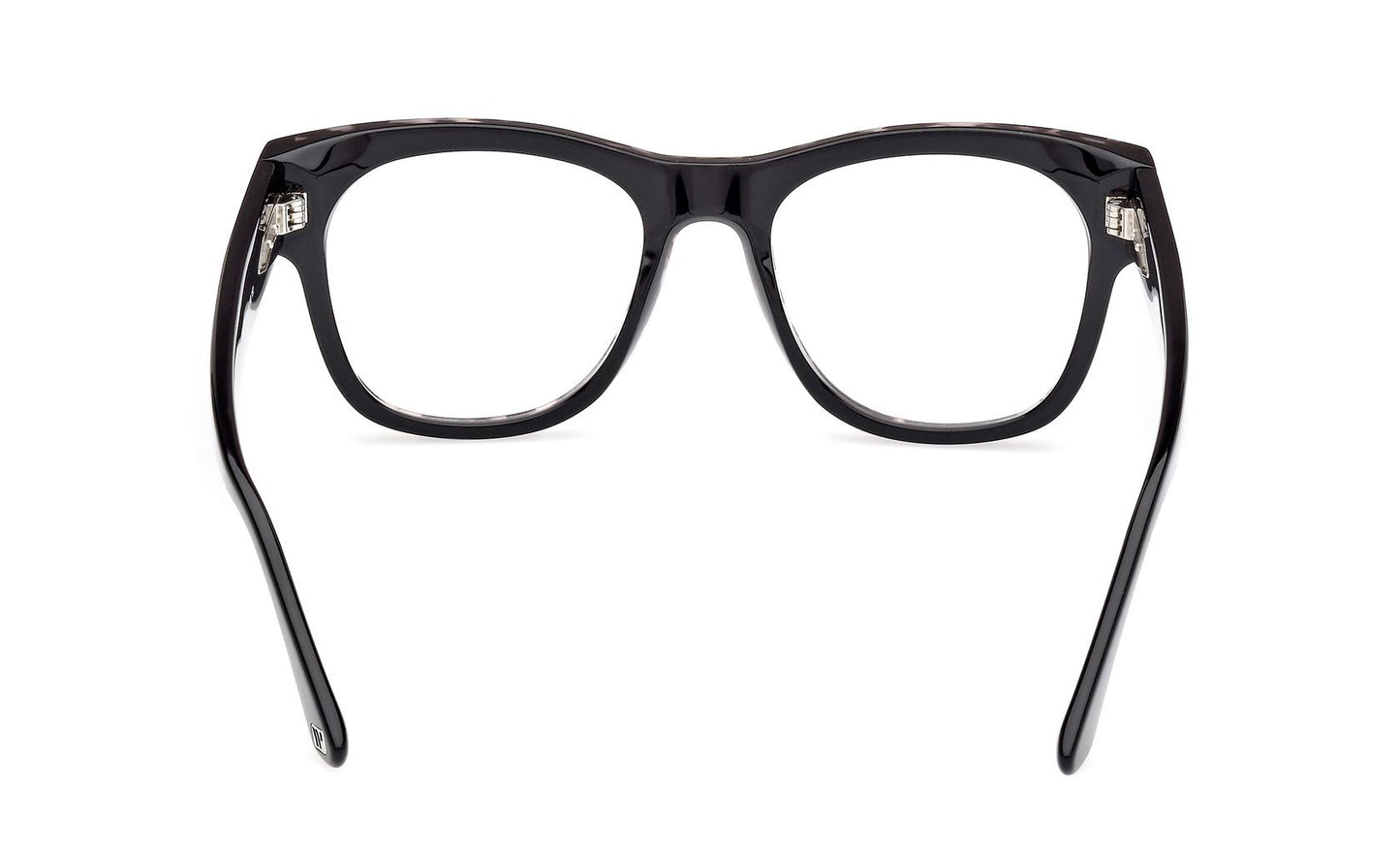 Web Eyeglasses WE5423 056