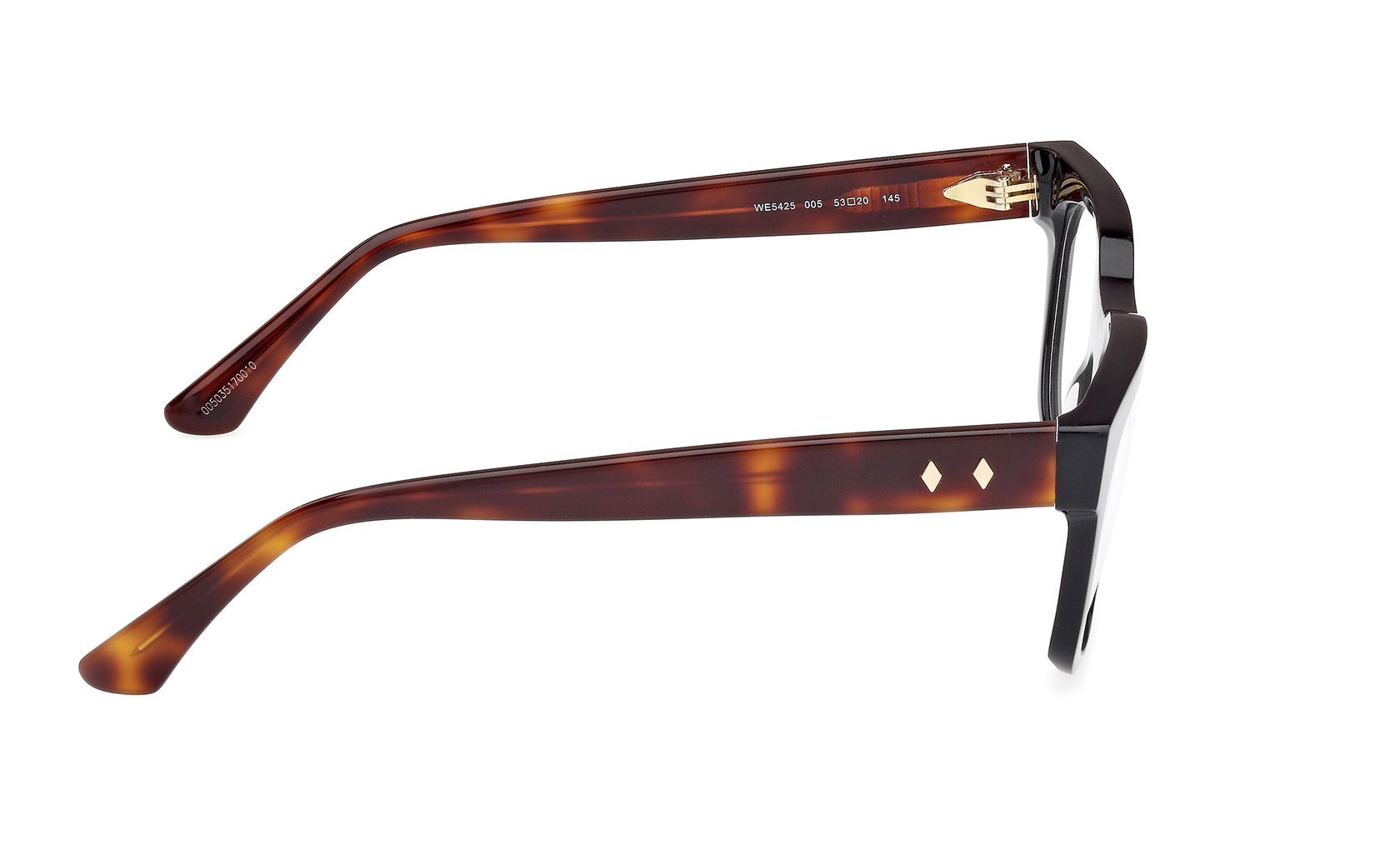 Web Eyeglasses WE5425 005