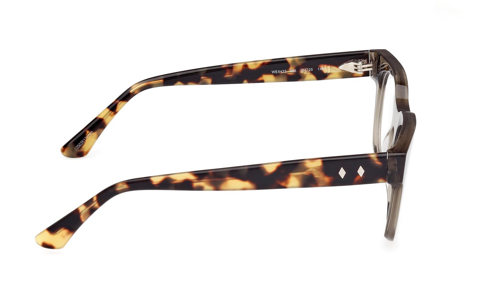 Web Eyeglasses WE5425 095