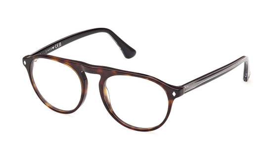 Web Eyeglasses WE5429 055