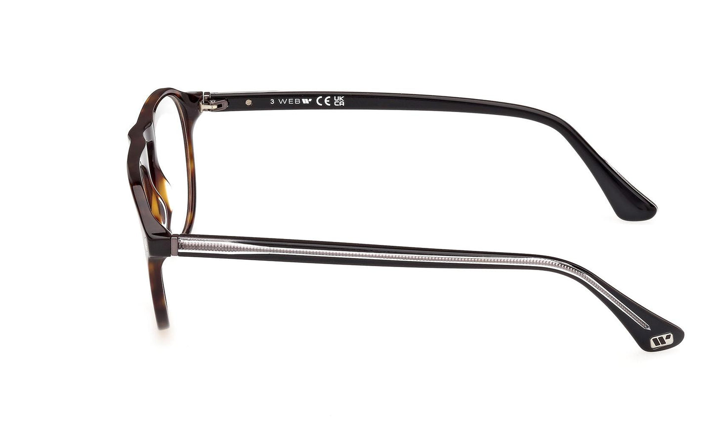 Web Eyeglasses WE5429 055