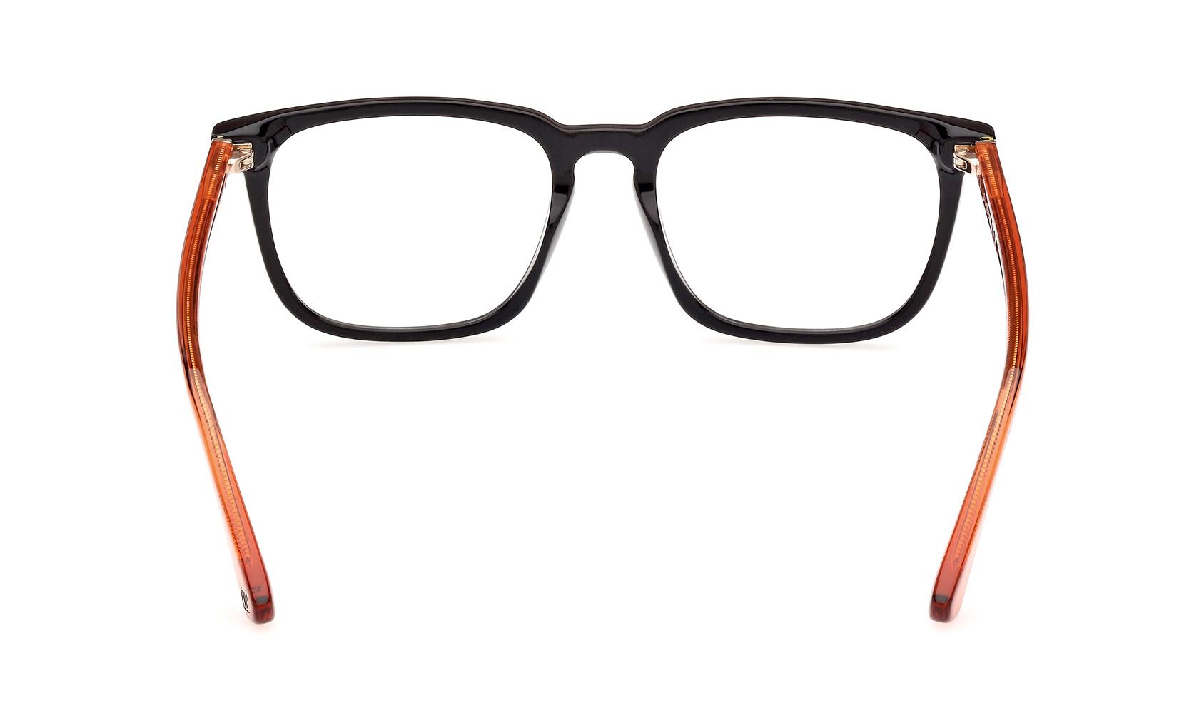 Web Eyeglasses WE5430 005