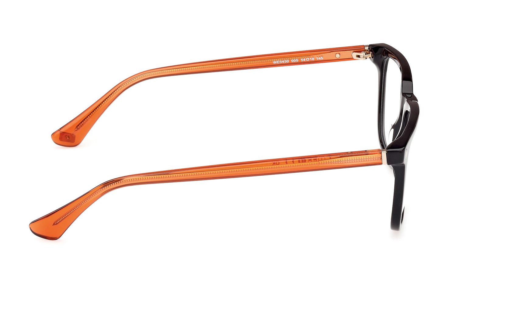 Web Eyeglasses WE5430 005
