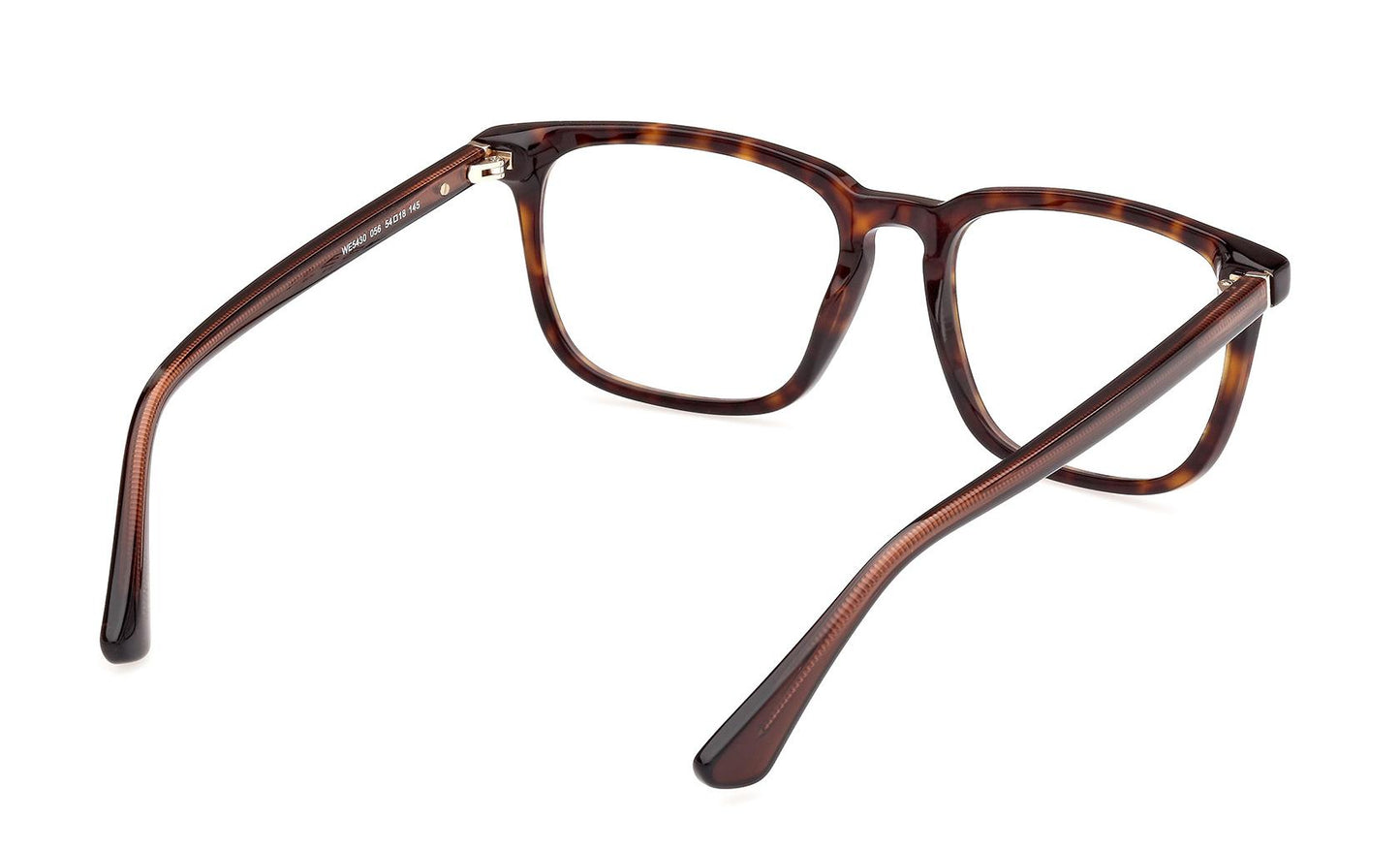 Web Eyeglasses WE5430 056