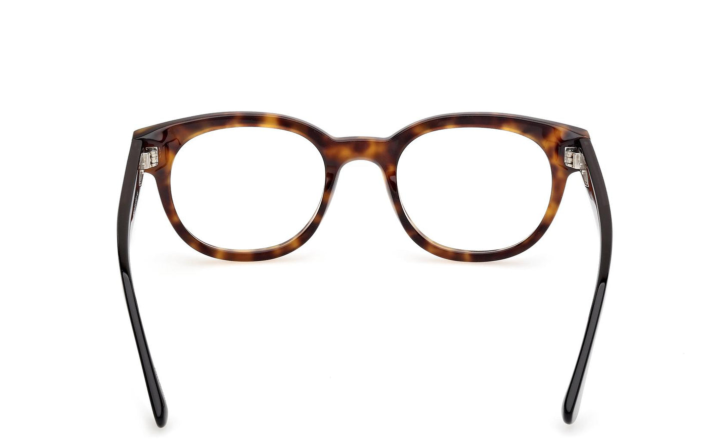 Web Eyeglasses WE5431 056