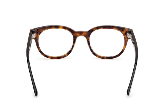 Web Eyeglasses WE5431 056