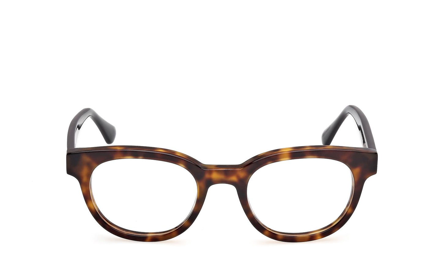 Web Eyeglasses WE5431 056