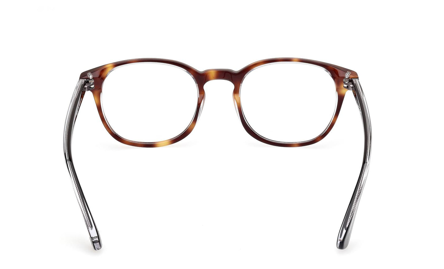 Web Eyeglasses WE5441 056