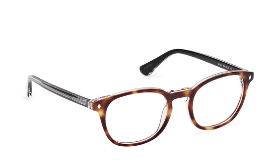 Web Eyeglasses WE5441 056