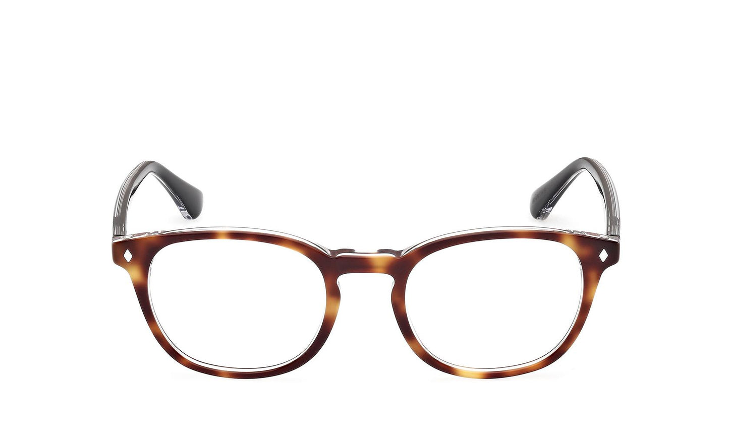 Web Eyeglasses WE5441 056