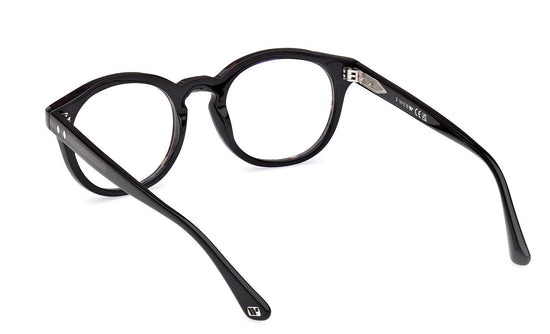 Web Eyeglasses WE5443 056