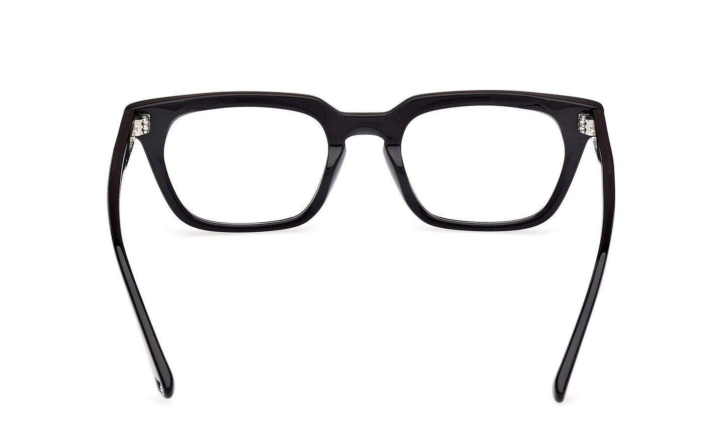 Web Eyeglasses WE5444 005