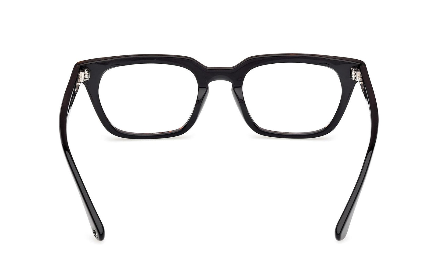 Web Eyeglasses WE5444 052