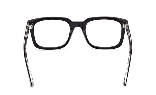 Web Eyeglasses WE5445 005