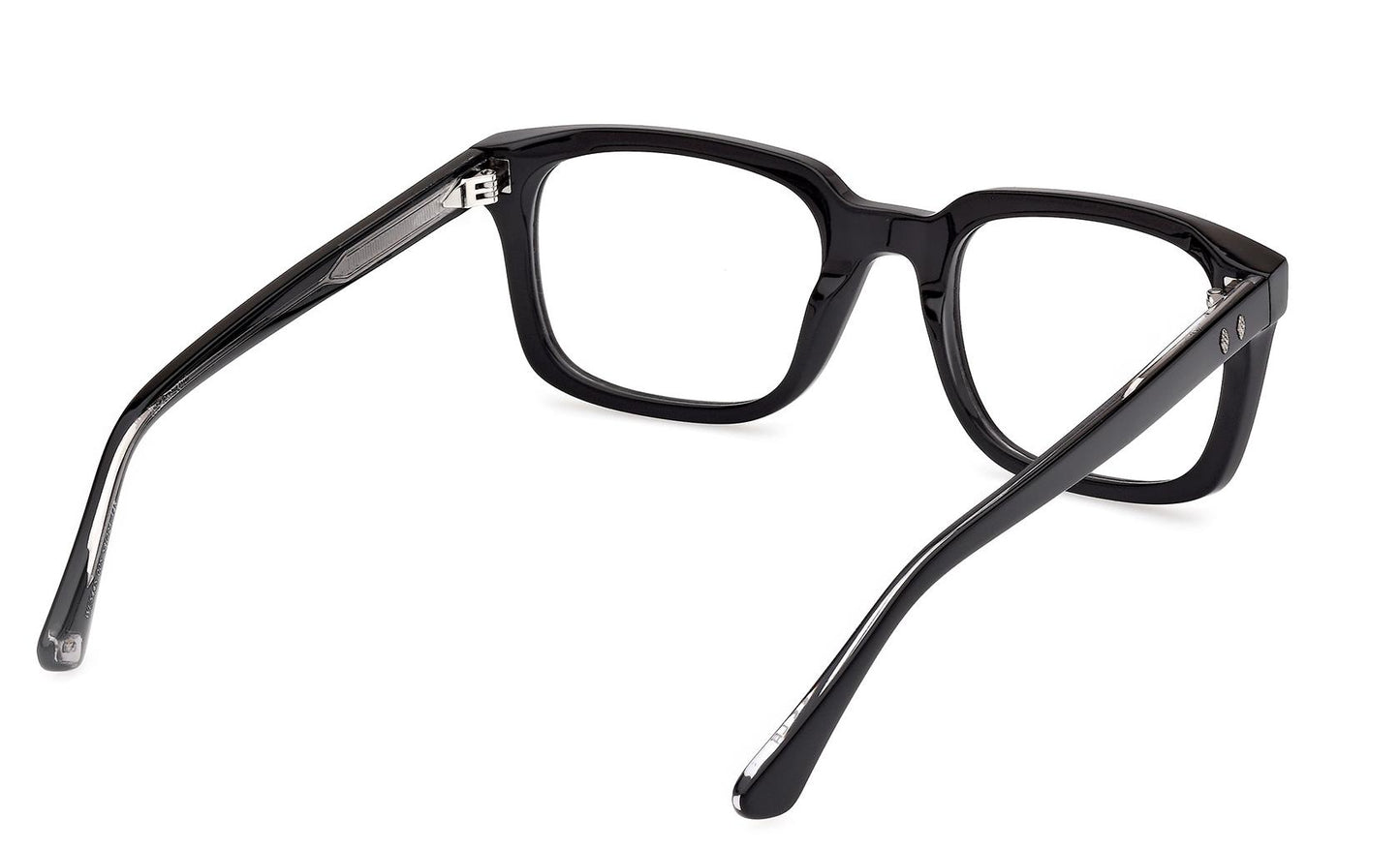 Web Eyeglasses WE5445 005