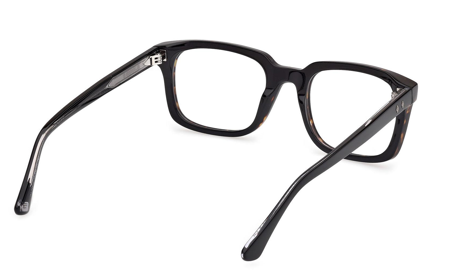 Web Eyeglasses WE5445 056