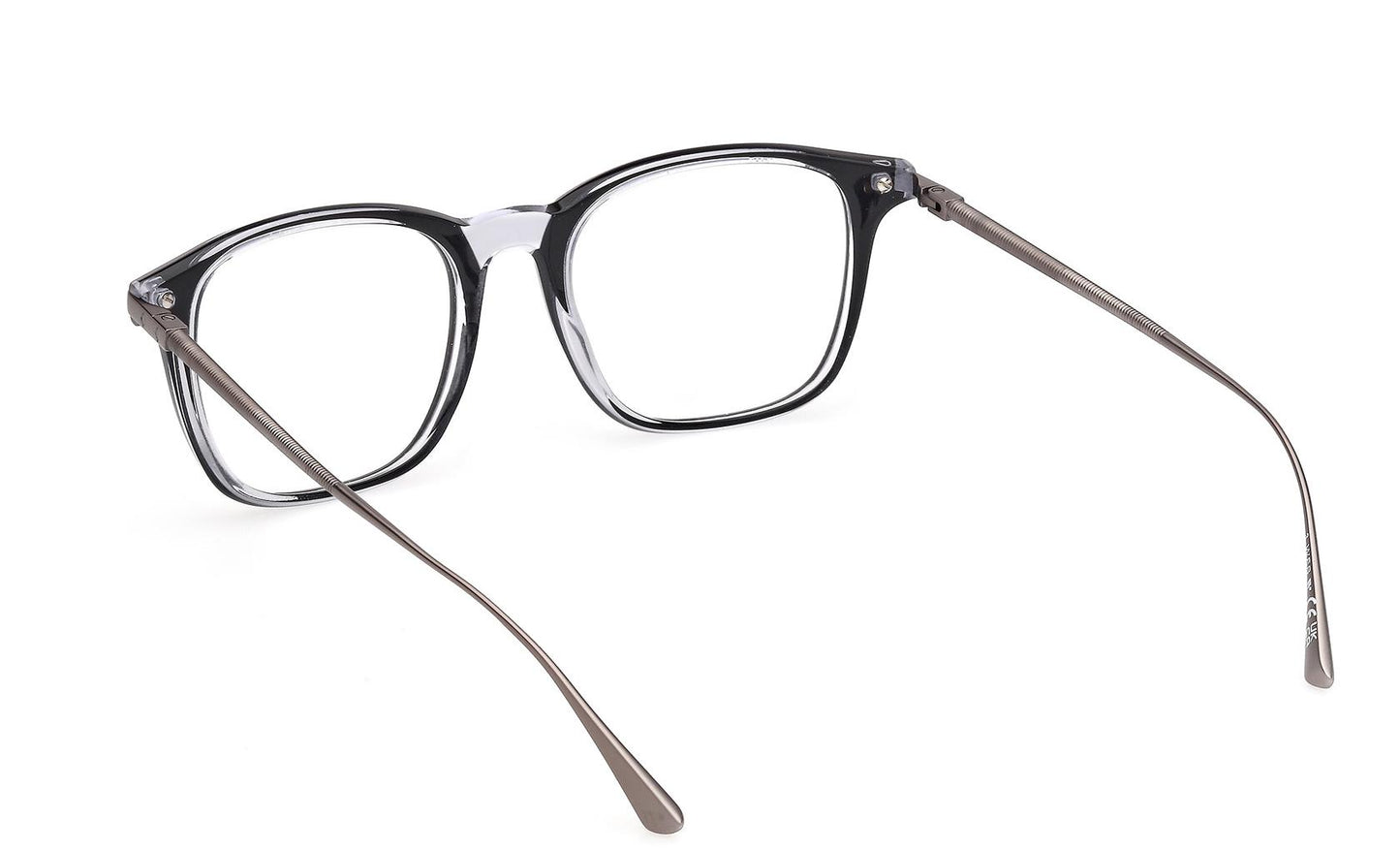 Web Eyeglasses WE5447 005