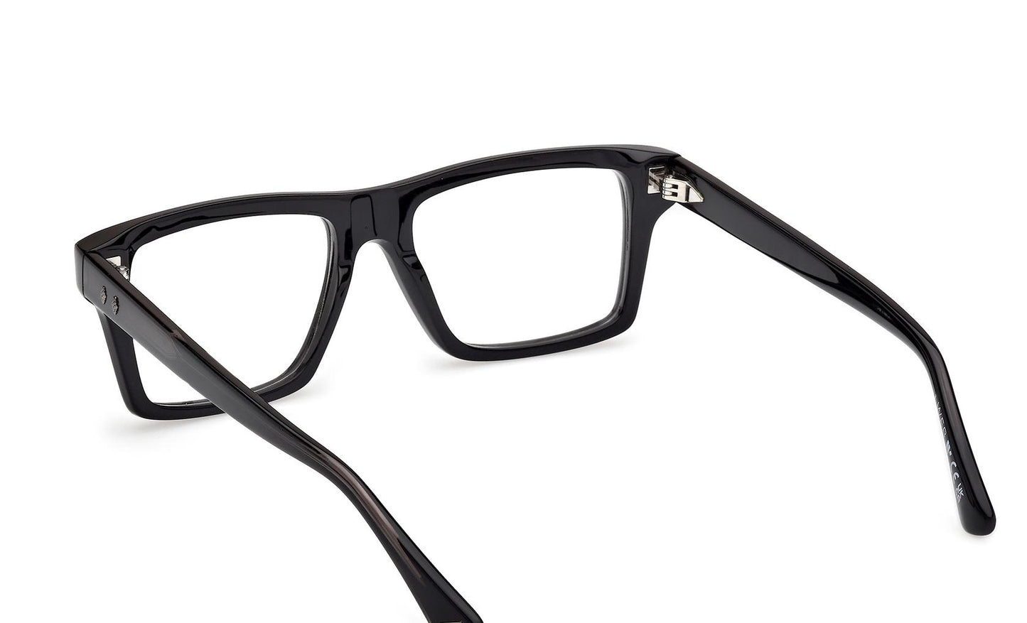 Web Eyeglasses WE5451 005