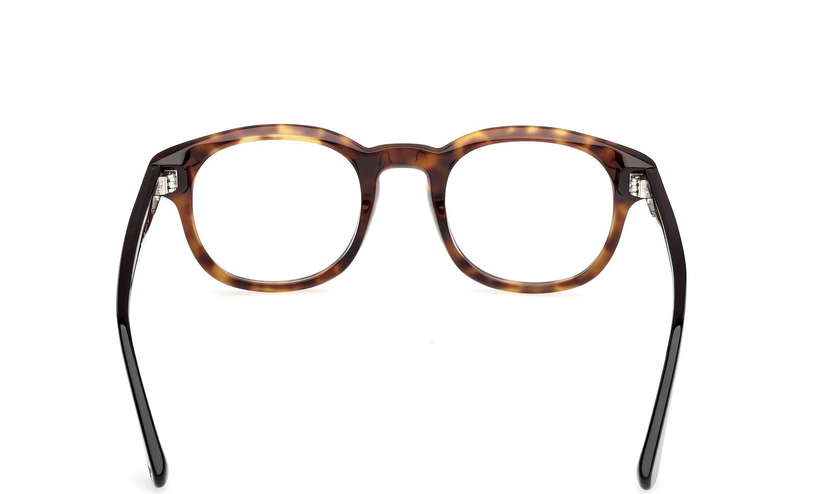 Web Eyeglasses WE5453 055